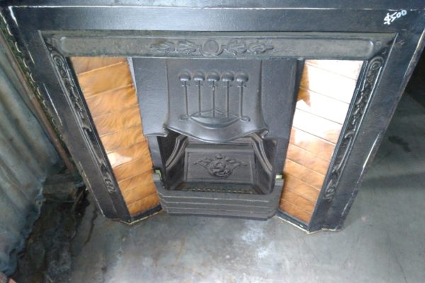 Fire Inserts (1)