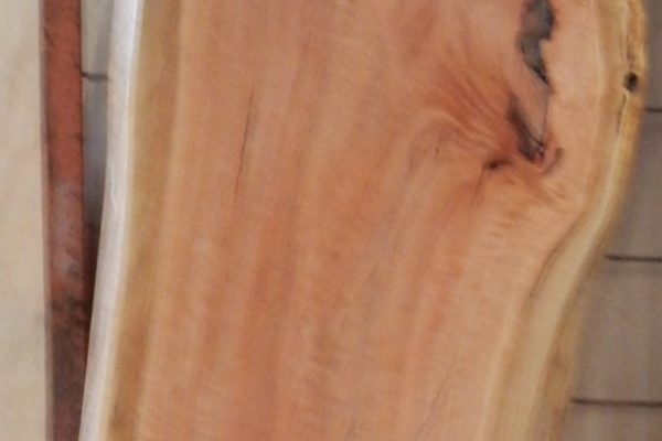 Polished Peppermint  1825 x 425 x 45