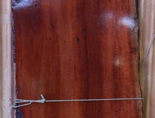 Polished Red Gum slab