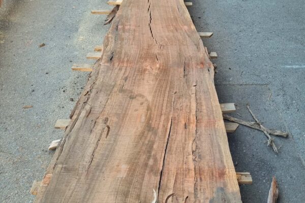 Adelaide-Rural-Salvage-Stock-2025-151